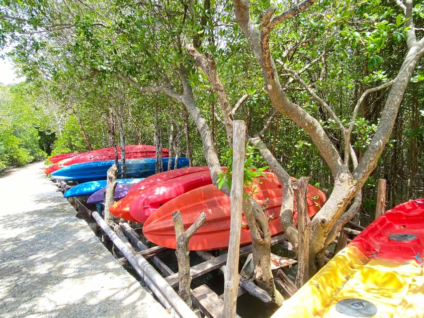 Koh Lanta:Mangrove + Elephant Camp Half Day Tour - Meeting monkeys on the boat