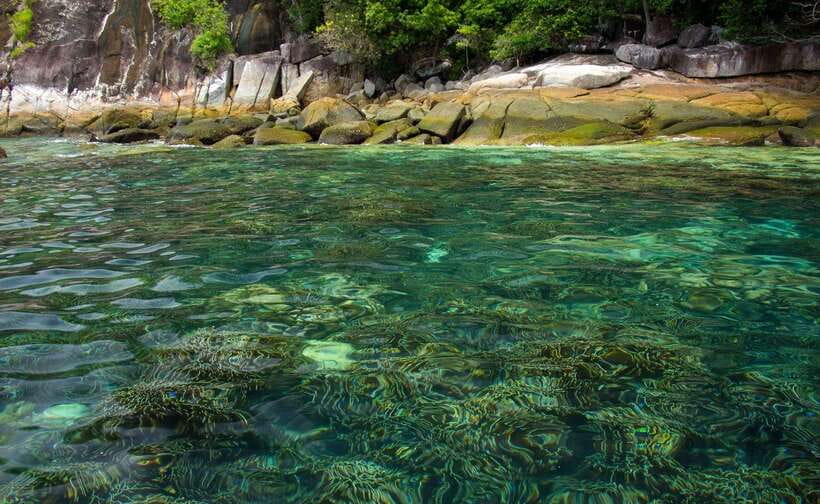 Koh Lipe: 5 Island Snorkeling Trip by Longtail Boat w/ Lunch - The language question deserves attention