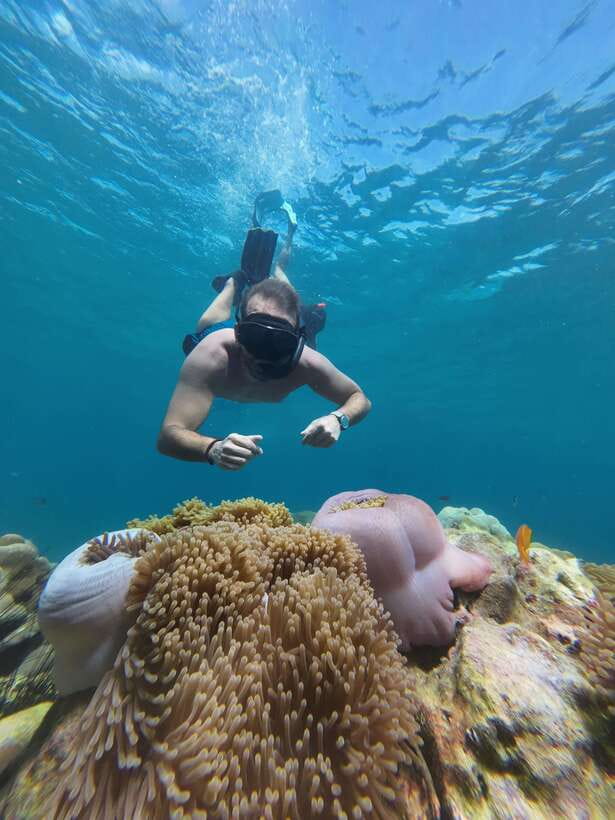 Koh Lipe: Half-Day Snorkeling (Morning/Afternoon/Sunset) - Why this half-day trip works well on Koh Lipe