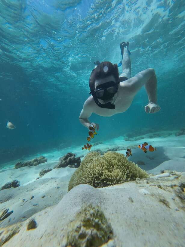 Koh Lipe: Half-Day Snorkeling (Morning/Afternoon/Sunset) - Hin Ngam Island and its black stone beach