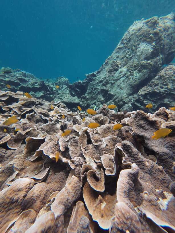 Koh Lipe: Half-Day Snorkeling (Morning/Afternoon/Sunset) - Adang Island and Sailing Boat Bay