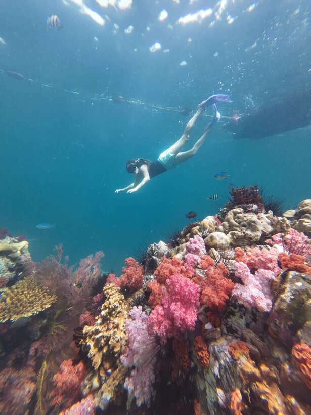 Koh Lipe: Half-Day Snorkeling (Morning/Afternoon/Sunset) - What the $16 price really covers