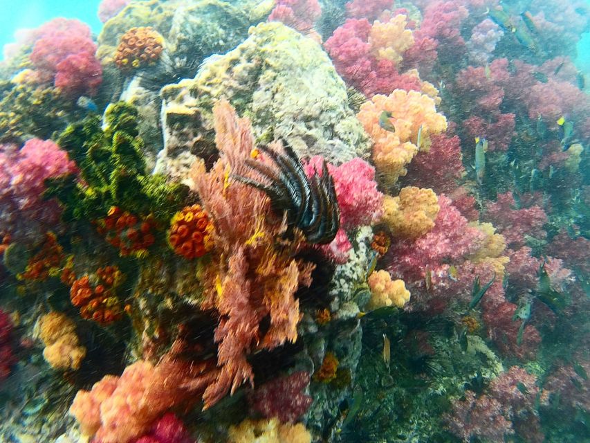 Koh Lipe Snorkeling Trip 6 hours Trip1 - Weather, sea conditions, and the real trade-off