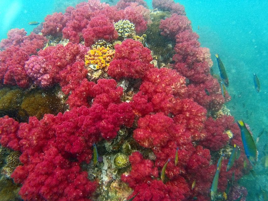 Koh Lipe Snorkeling Trip 6 hours Trip1 - 11:00 a.m. at Rawi Island for lunch and beach time