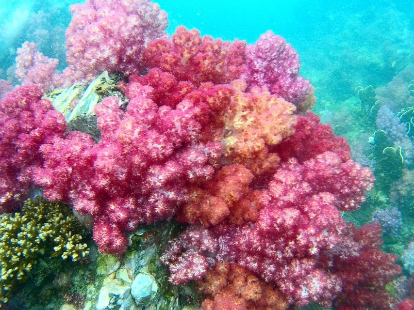 Koh Lipe Snorkeling Trip 6 hours Trip1 - 2:00 p.m. at Koh Adang’s Sai Sai Bay
