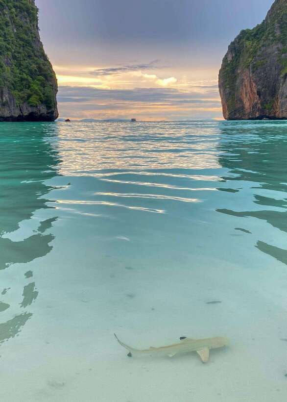 Koh Phi Phi: Maya Bay Private Longtail Boat Tour - Starting near Koh Phi Phi’s main pier