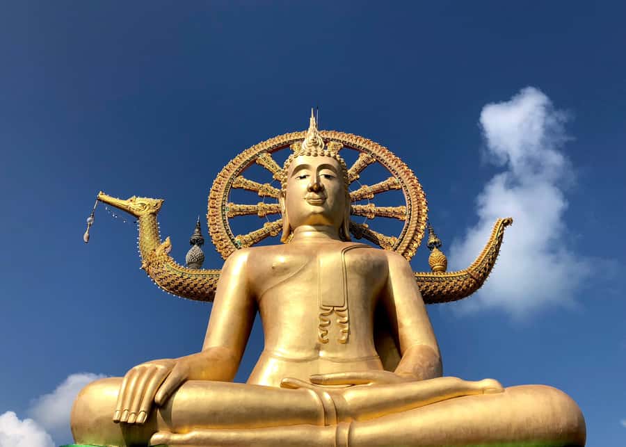 Koh Samui: 4x4 Off Road Island Safari Tour Including Lunch - Hin Ta and Hin Yai Rocks to finish