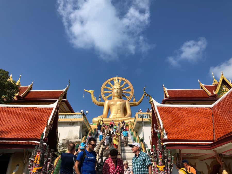 Koh Samui: 4x4 Off Road Island Safari Tour Including Lunch - The mountain climb and Wat Teepangkorn