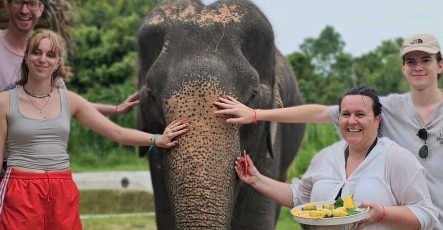 Koh Samui: Elephant Sanctuary and Jungle Tour with Lunch - Wat Teepangkorn and Koh Samui from above