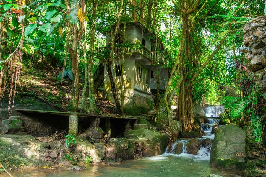 Koh Samui: Elephant Sanctuary and Jungle Tour with Lunch - What the $57 price really covers