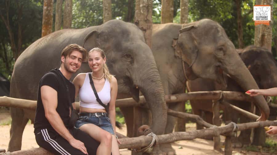 Koh Samui: Elephant Sanctuary Entry and Feeding Experience - Key points at a glance