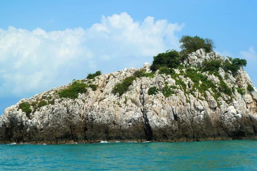 Koh Samui: Fishing Day Tour by Escort Boat with Mr. Tu - Fishing for barracuda, trevally, and snapper