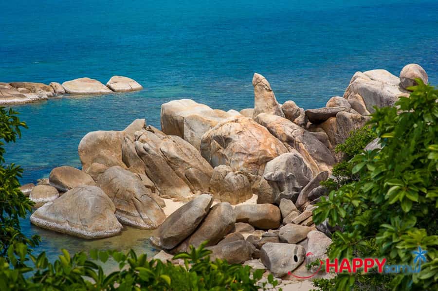 Koh Samui: Half-Day Island Highlights Tour with Hotel Pickup - Choosing the elephant camp option
