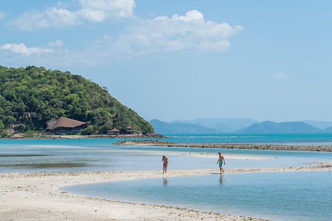 Koh Samui: Island Hopping Adventure in Coral and Pig Island - Pig Island is the day’s unforgettable opener