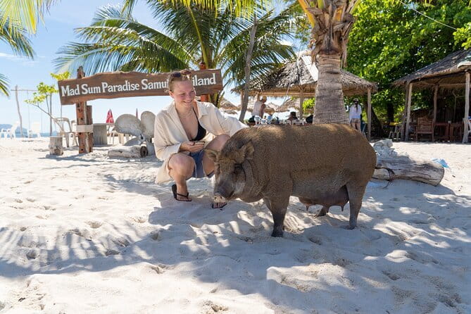 Koh Samui: Island Hopping Adventure in Coral and Pig Island - The long boat ride is part of the bargain