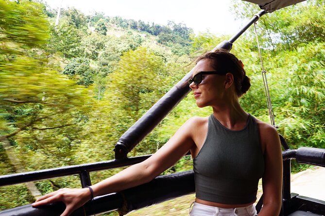 Koh Samui Jungle Safari By JEEP With MR.UNG (Including Lunch) - Na Muang 2 Waterfall: The Best Chance To Cool Off