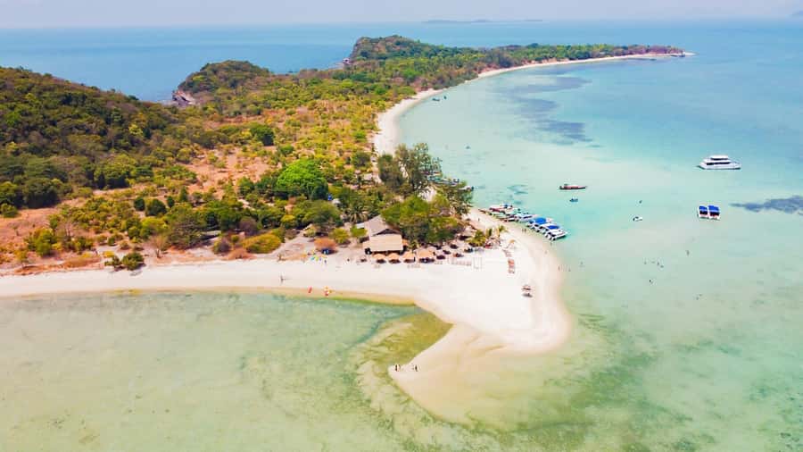 Koh Samui: Pig Island & Koh Tan Speedboat Tour with Lunch - Pig Island offers more than pig feeding