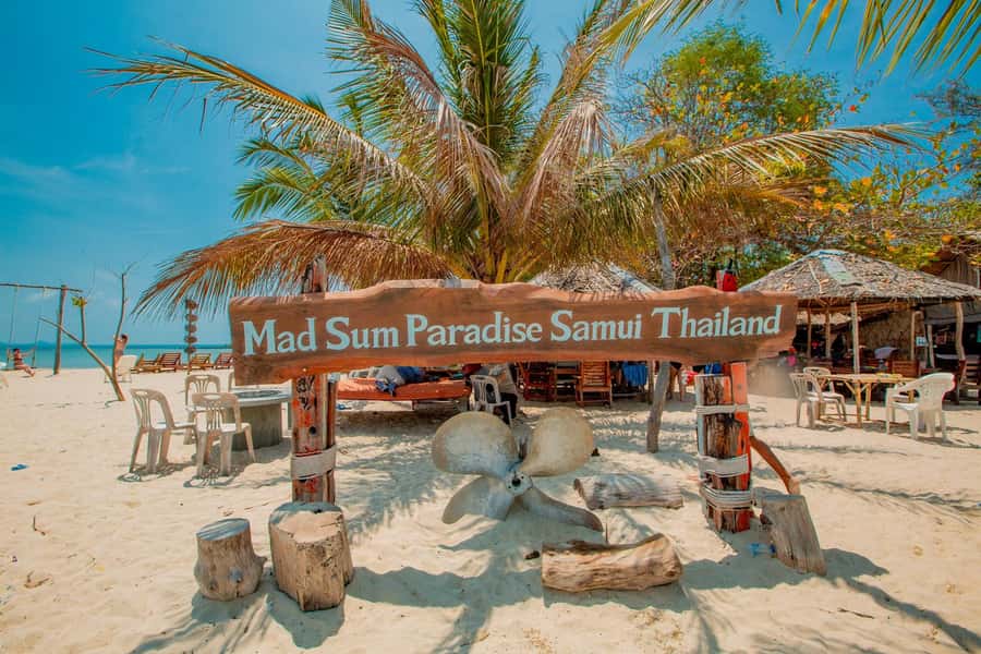 Koh Samui: Pig Island & Koh Tan Speedboat Tour with Lunch - Rough water, age limits, and physical demands