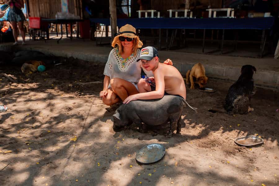 Koh Samui: Pig Island & Koh Tan Speedboat Tour with Lunch - Should you book this Koh Samui boat trip?