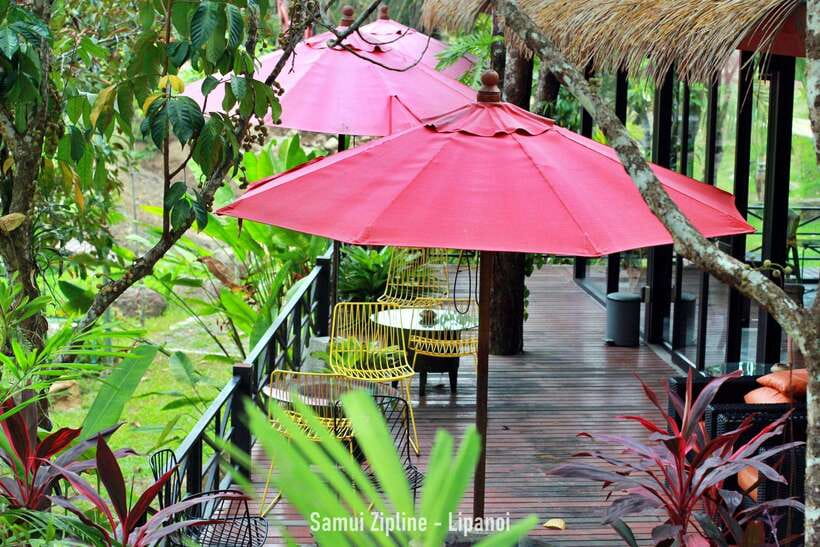 Koh Samui: Samui Zipline Adventure with Transfer service - What the hour actually feels like
