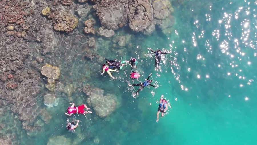 Koh Samui: Sunset Pig Island and Snorkeling Koh Tan w/Dinner - A seven-hour afternoon from Koh Samui