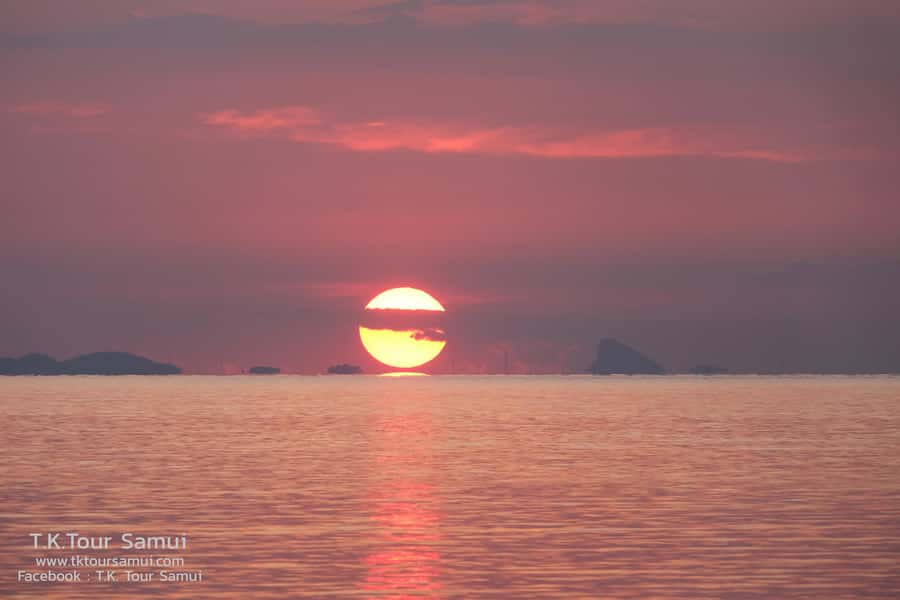 Koh Samui: Sunset Pig Island and Snorkeling Koh Tan w/Dinner - What the $48 price really covers