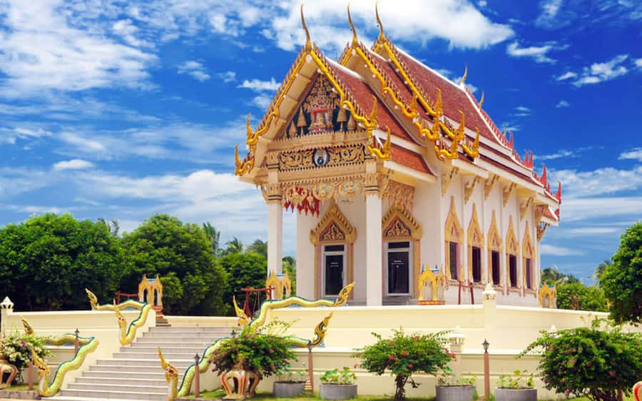 Koh Samui: Travstore Original Koh Samui Discovery Tour - Van travel, lunch, and what the price covers