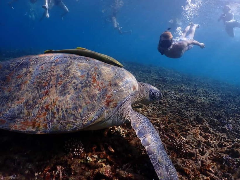 Koh Tao: Golden Hour Getaway – Your Late Start to Paradise - Thai lunch while the boat heads to Mango Bay