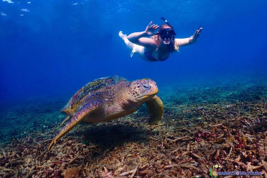 Koh Tao: Islands Snorkeling Highlights Day Tour & Lunch - What the $27 price really covers