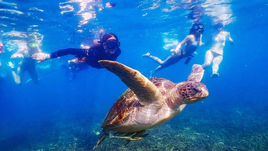 Koh Tao: Koh Nangyuan and the Hidden Bays Trip by the Oxygen - Mango Bay and Ao Muang’s coral gardens