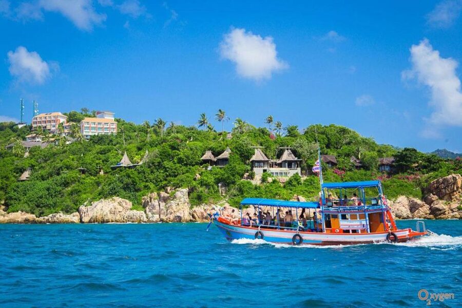 Koh Tao: Koh Nangyuan and the Hidden Bays Trip by the Oxygen - Ao Hin Wong and schools of fish