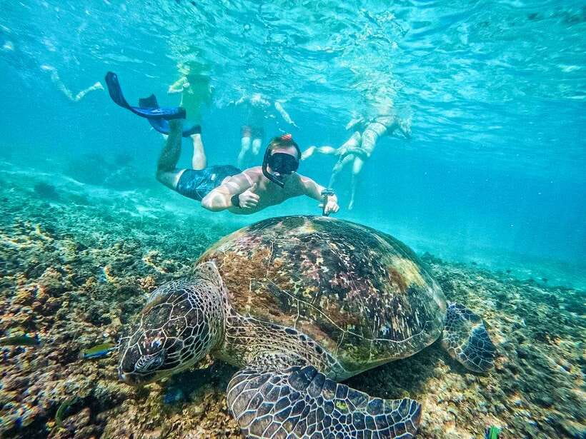 Koh Tao: Koh Nangyuan & Hidden Bays Snorkeling Tour w/ Lunch - Quick points to know