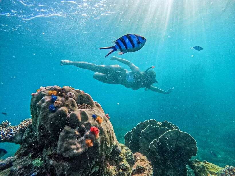 Koh Tao: Koh Nangyuan & Hidden Bays Snorkeling Tour w/ Lunch - Why this Koh Tao snorkeling tour is good value at $27