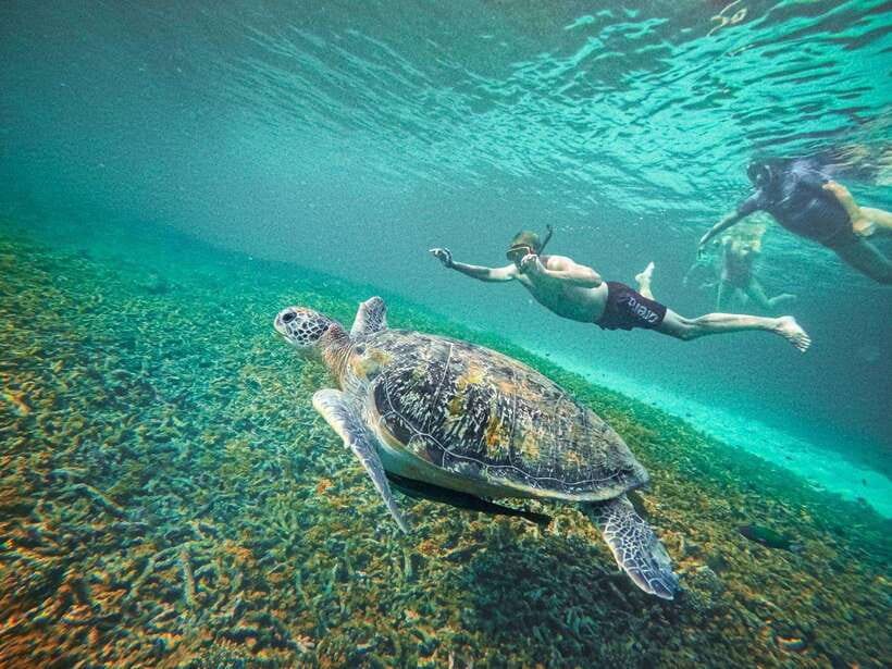Koh Tao: Koh Nangyuan & Hidden Bays Snorkeling Tour w/ Lunch - The crew, safety, and free GoPro photos
