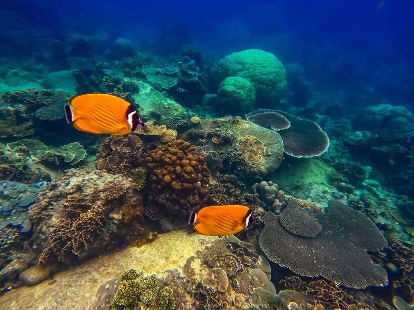 Koh Tao: Koh Nangyuan & Hidden Bays Snorkeling Tour w/ Lunch - What the seven hours feel like