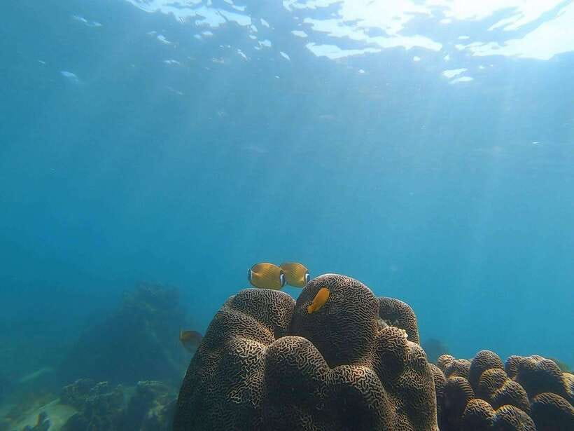 Koh Tao: Premium Snorkel Tour to Koh Nangyuan Bays by Oxygen - Buddha Rock and the spirit rocks