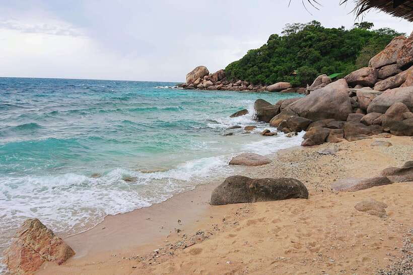 Koh Tao: Premium Snorkel Tour to Koh Nangyuan Bays by Oxygen - From Mae Haad Pier to Freedom Beach