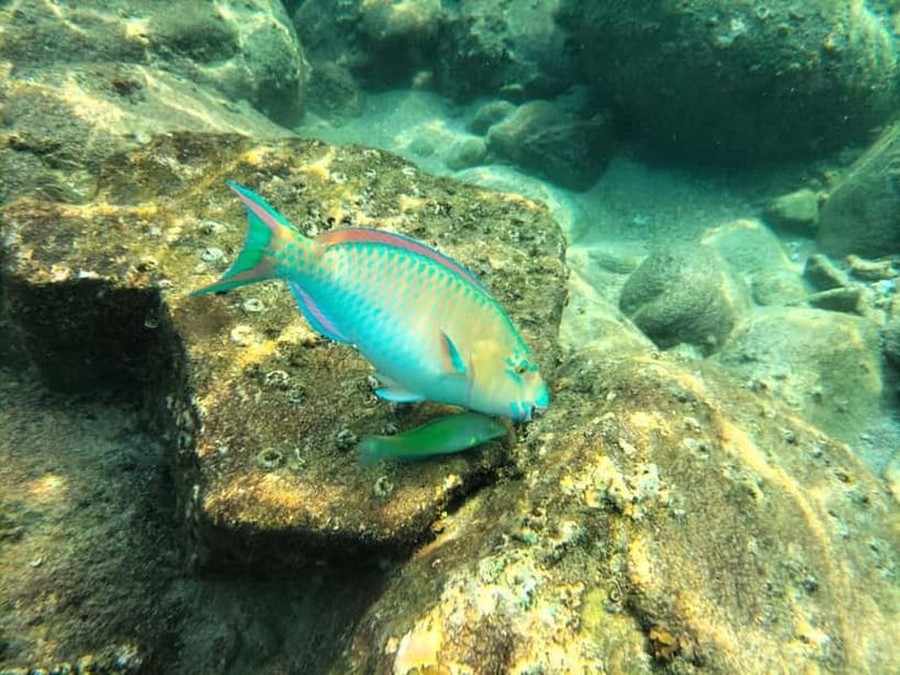 Koh Tao: Snorkeling and Sunset Tour - What to bring and how to prepare