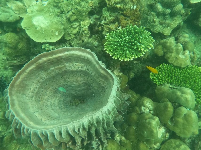 Krabi: 4 Islands & Krabi's Separated Sea Longtail Boat Tour - Phra Nang Cave Beach and the limestone cliffs