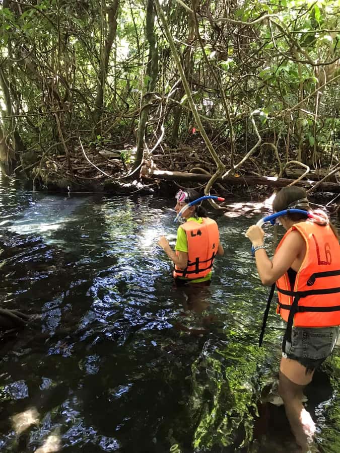 Krabi: Amazon Klong Srakaew Kayaking With Lunch - The clear lagoon and time in the water