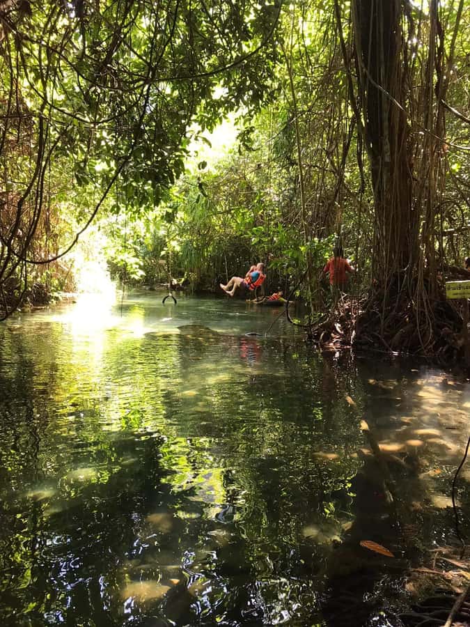 Krabi: Amazon Klong Srakaew Kayaking With Lunch - Lunch beside the canal