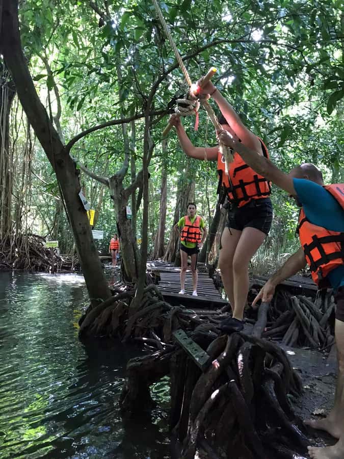 Krabi: Amazon Klong Srakaew Kayaking With Lunch - A note about the elephant confusion
