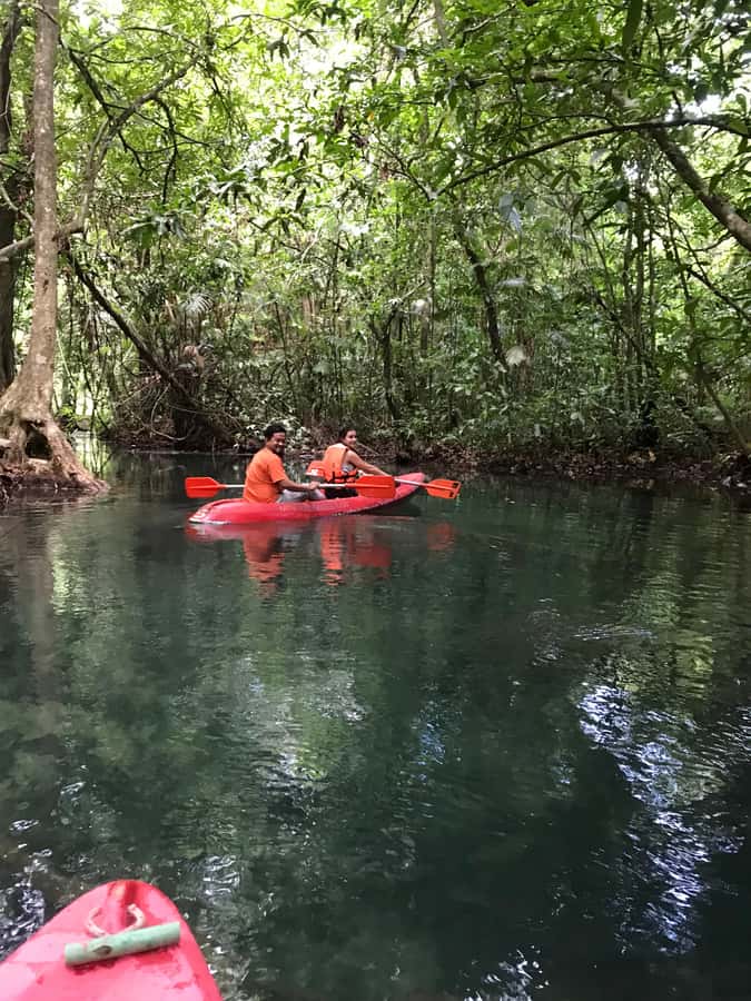 Krabi: Amazon Klong Srakaew Kayaking With Lunch - Who will enjoy this three-hour outing