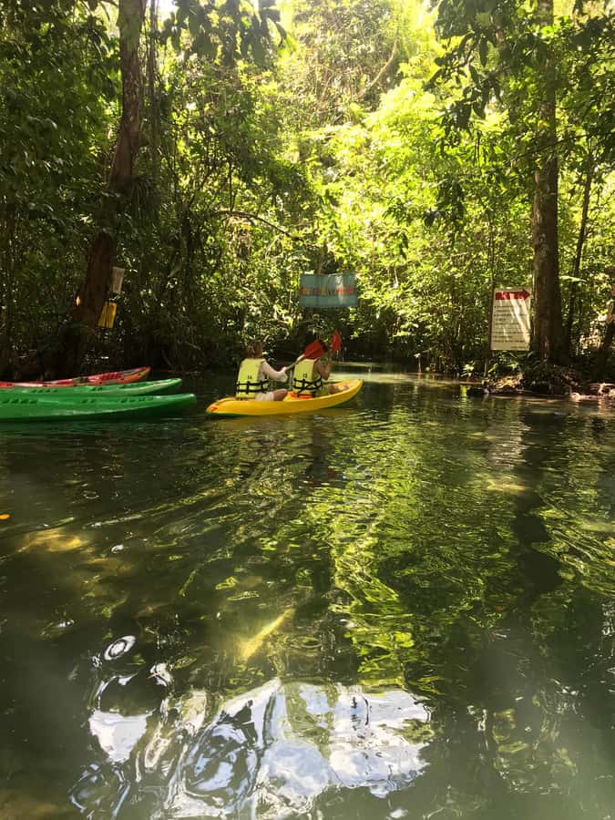Krabi: Amazon Klong Srakaew Kayaking With Lunch - Paddling through the Emerald Canal