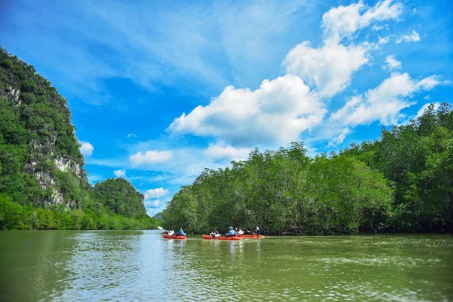 Krabi: Ao Thalane Mangrove Kayaking with Extras - Key points before you book