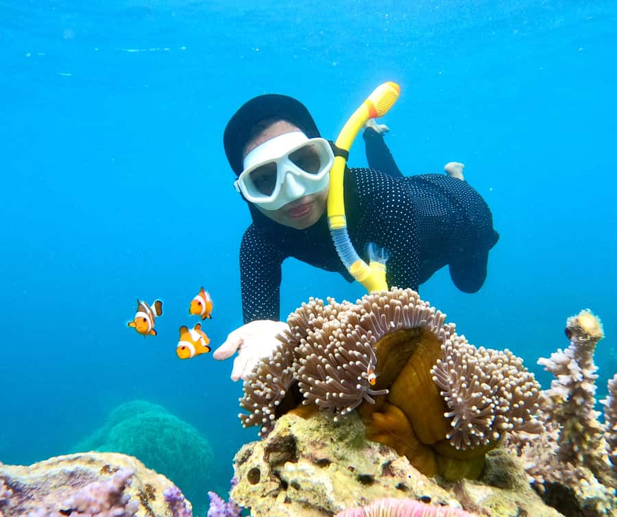 Krabi: Bioluminescent Plankton, Snorkeling & Sunset Tour - Ko Poda, sunset, and the BBQ dinner