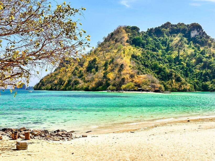Krabi:Day Trip 4 Islands by Premium Longtail Boat with Lunch - Key points to know before booking