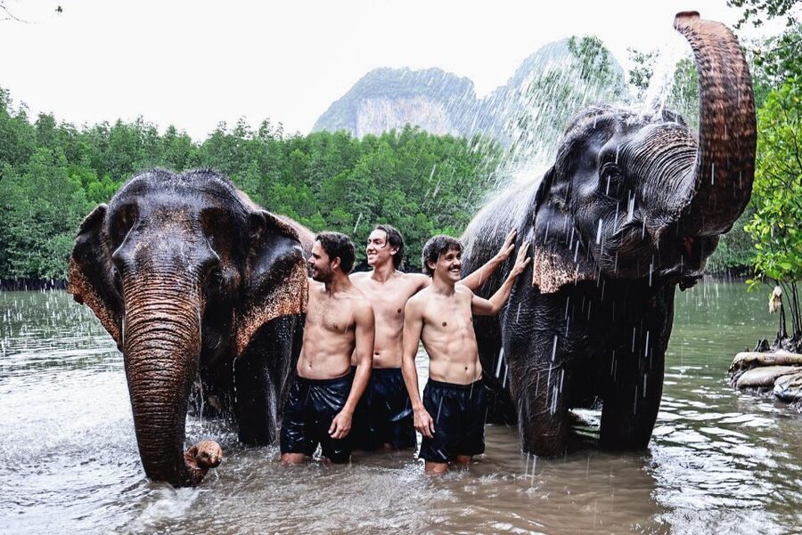 Krabi: Elephant Bathing Session at Krabi Elephant Shelter - Key points at a glance