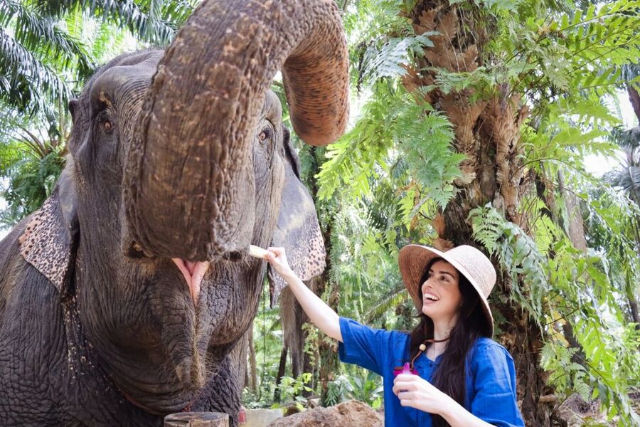 Krabi: Elephant Bathing Session at Krabi Elephant Shelter - Bathing and showering in the shelter grounds