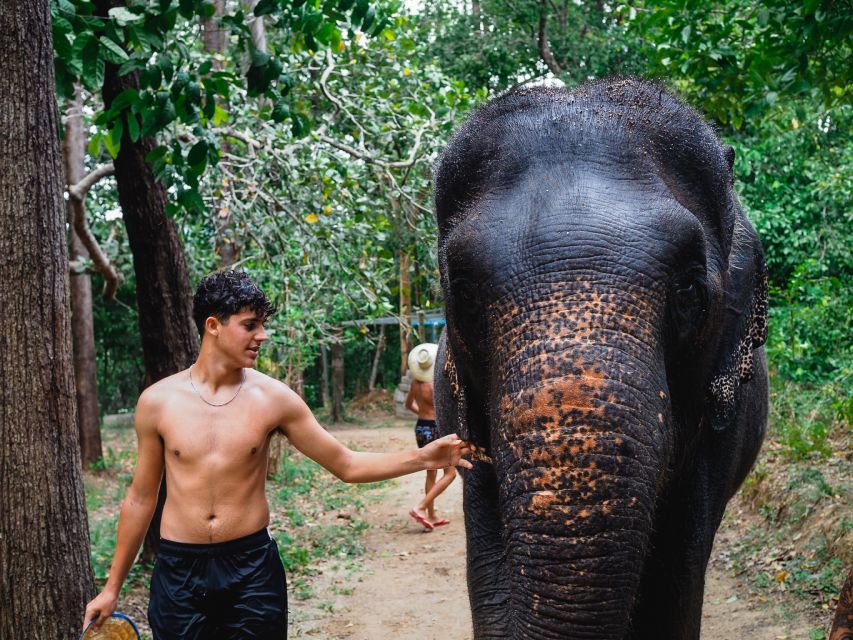 Krabi: Elephant Bathing Session at Krabi Elephant Shelter - Showers, snacks, and the useful facilities